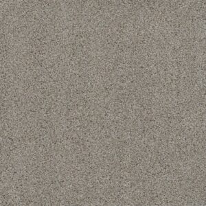 Dreamweaver Carpet Smart Squares Easy Street Iron Frost Carpet SQ105_815