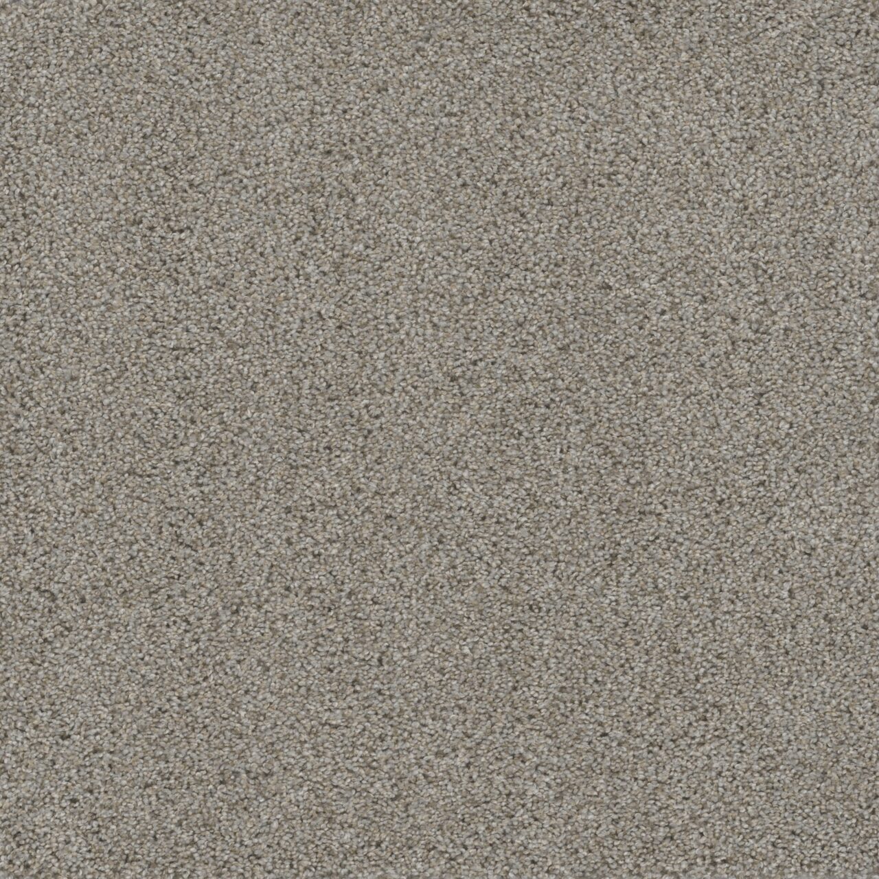 Dreamweaver Carpet Smart Squares Easy Street Iron Frost Carpet SQ105_815