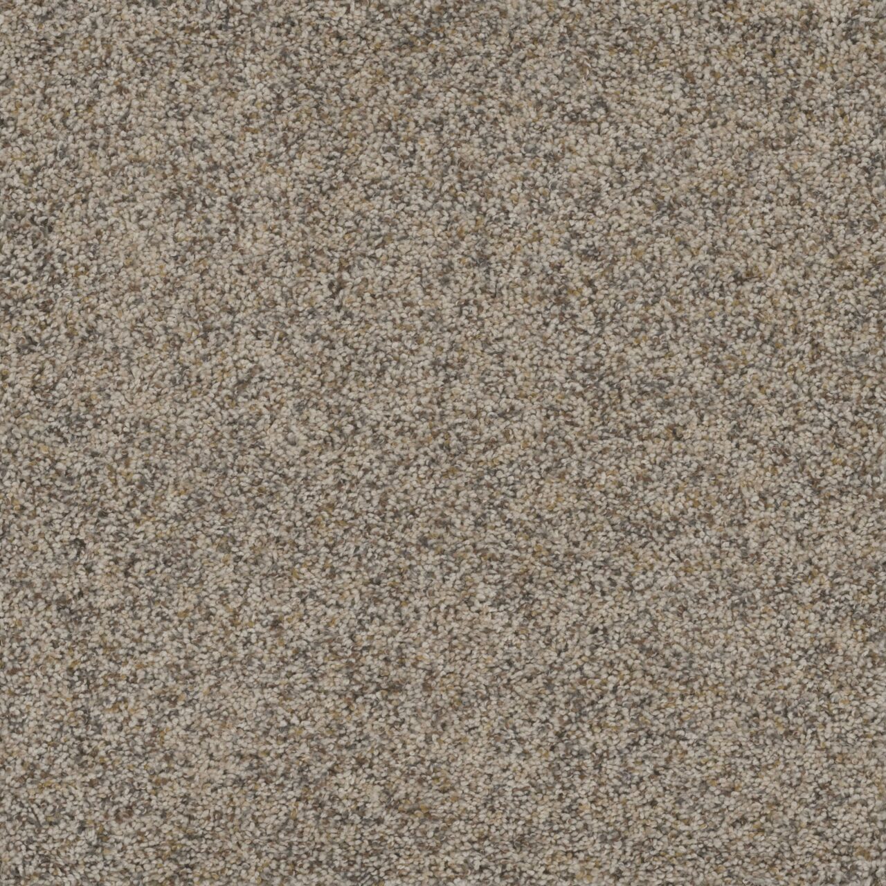 Dreamweaver Carpet Smart Squares Piece Of Cake Sandpoint Carpet SQ106_724