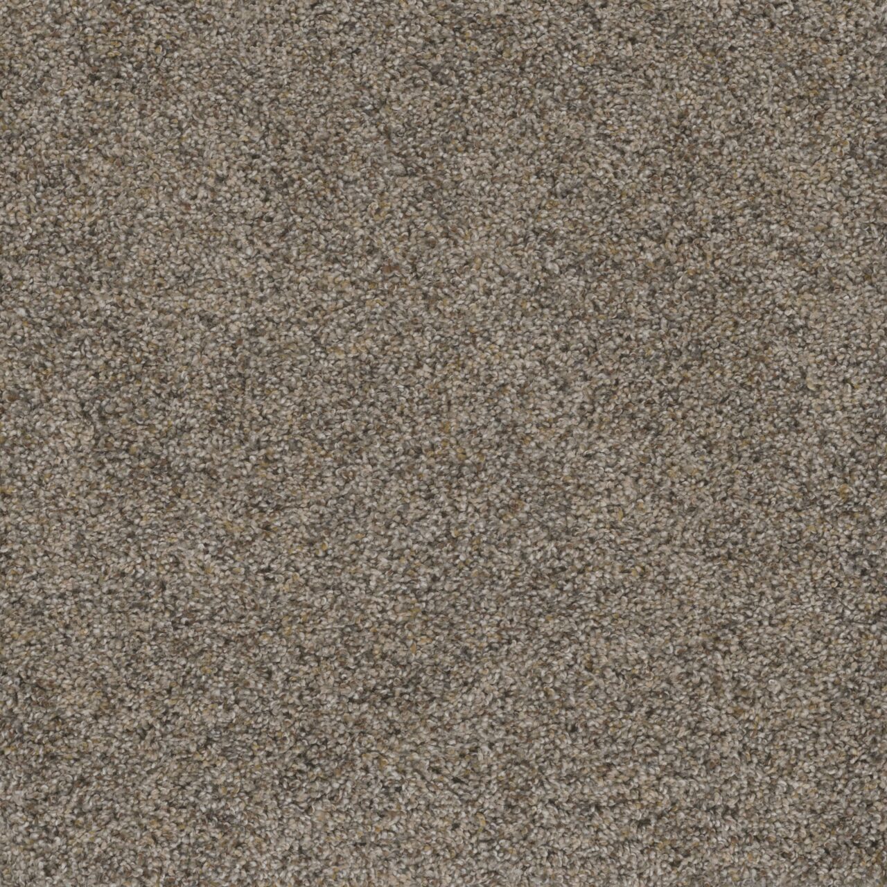 Dreamweaver Carpet Smart Squares Piece Of Cake Bisque Carpet SQ106_768