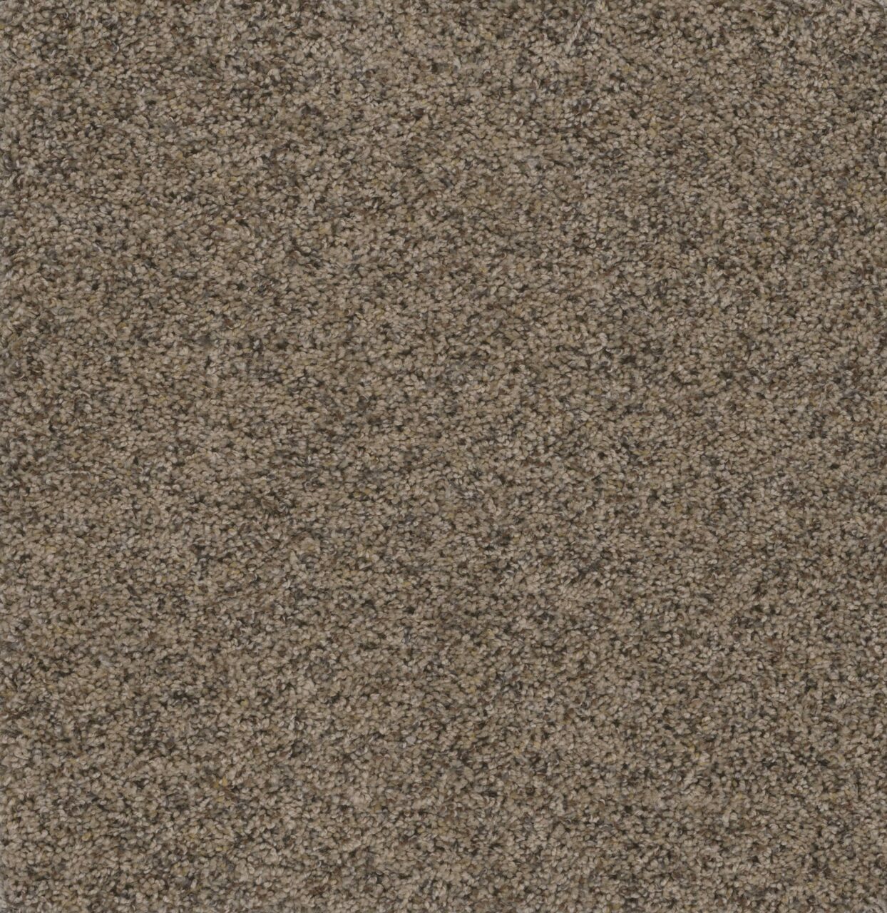 Dreamweaver Carpet Smart Squares Piece Of Cake Leather Carpet SQ106_858