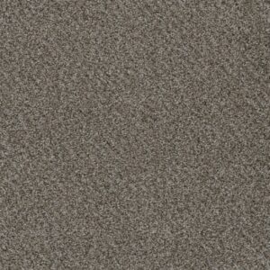 Dreamweaver Carpet Smart Squares Walk In The Park Lace Agate Carpet SQ107_377