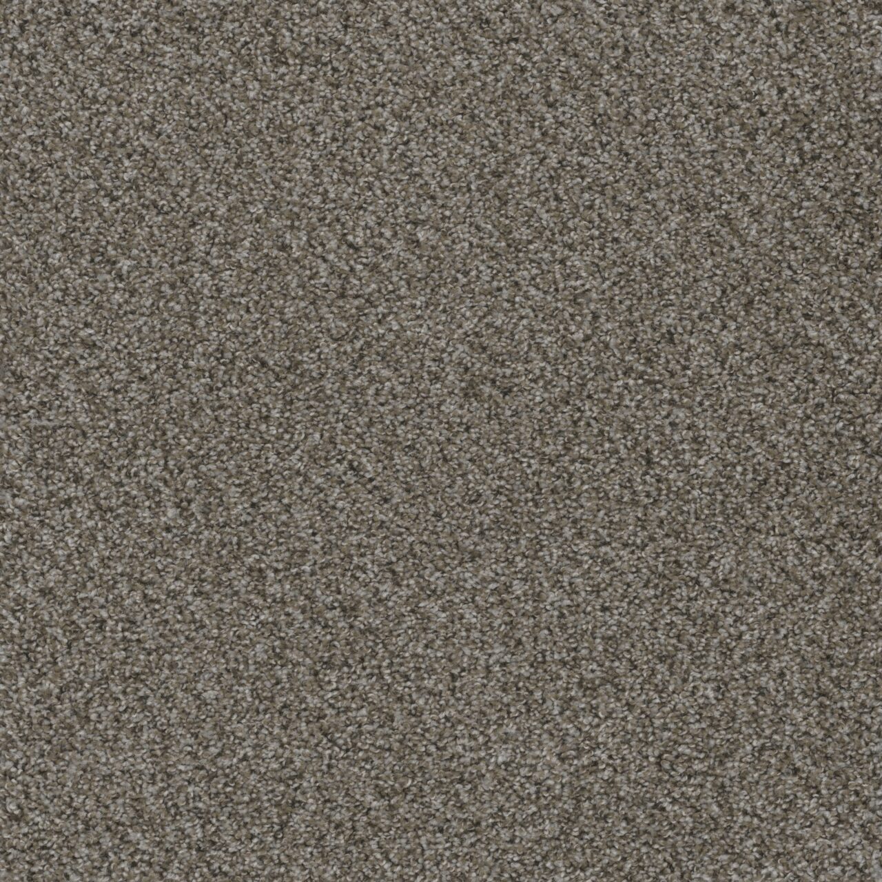 Dreamweaver Carpet Smart Squares Walk In The Park Lace Agate Carpet SQ107_377