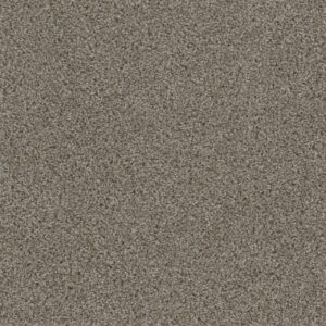 Dreamweaver Carpet Smart Squares Walk In The Park Granite Carpet SQ107_444