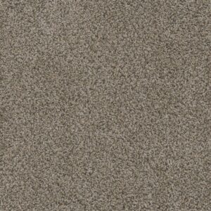 Dreamweaver Carpet Smart Squares Walk In The Park Gemstone Carpet SQ107_760