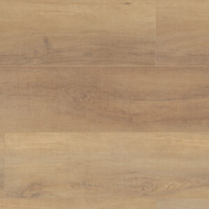 COREtec Pro Plus HD Canterbury Elm 9" VV488-02093