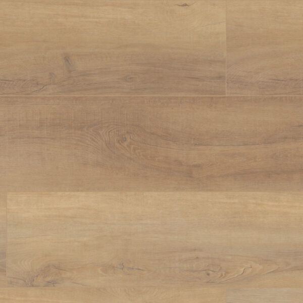 COREtec Pro Plus HD Canterbury Elm 9" VV488-02093