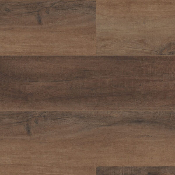 COREtec Pro Plus HD Cheshire Elm 9" VV488-02094